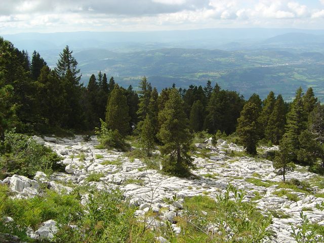 DSC01888.JPG